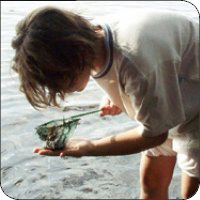 service sorties scolaires